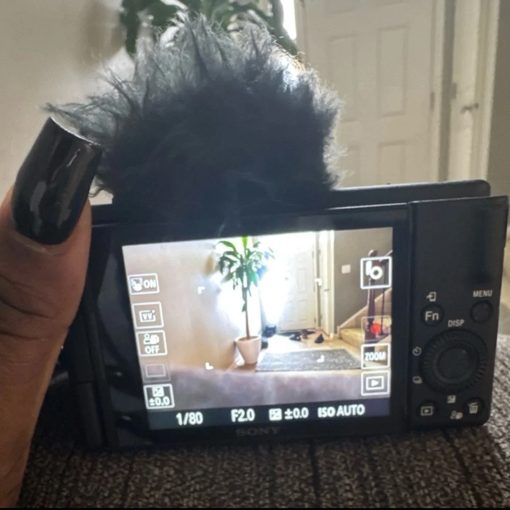 Sony zv-1f digital camera